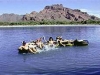 Tubing the Salt River, Mesa